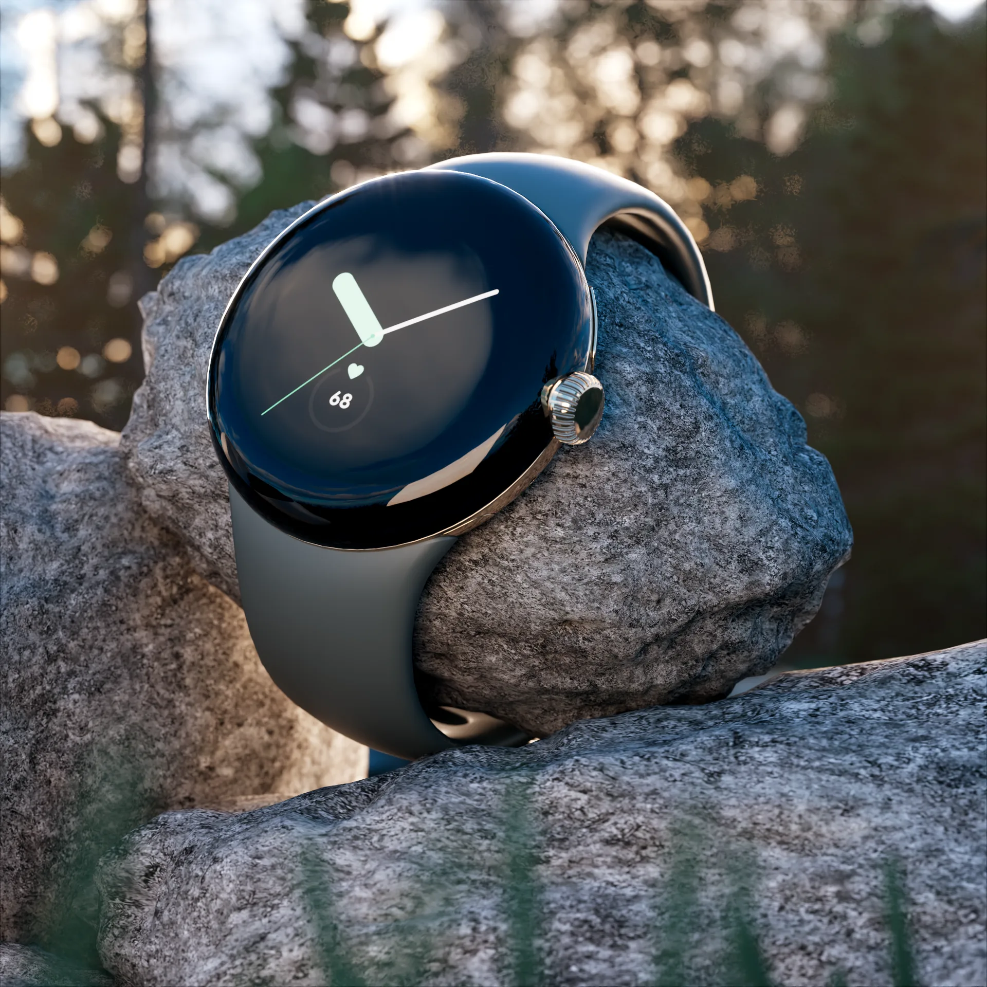 Google Nest und Pixel