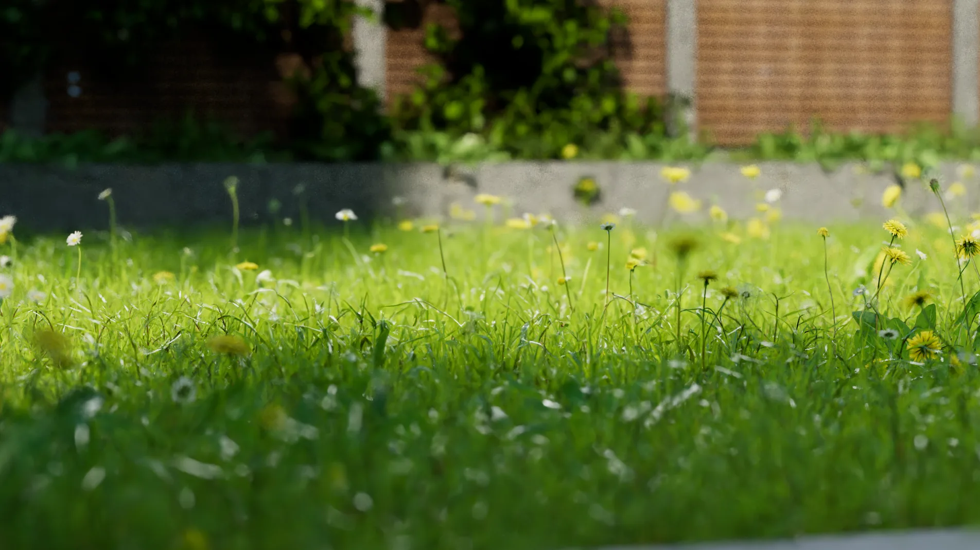 Ring: Technik für den Garten
